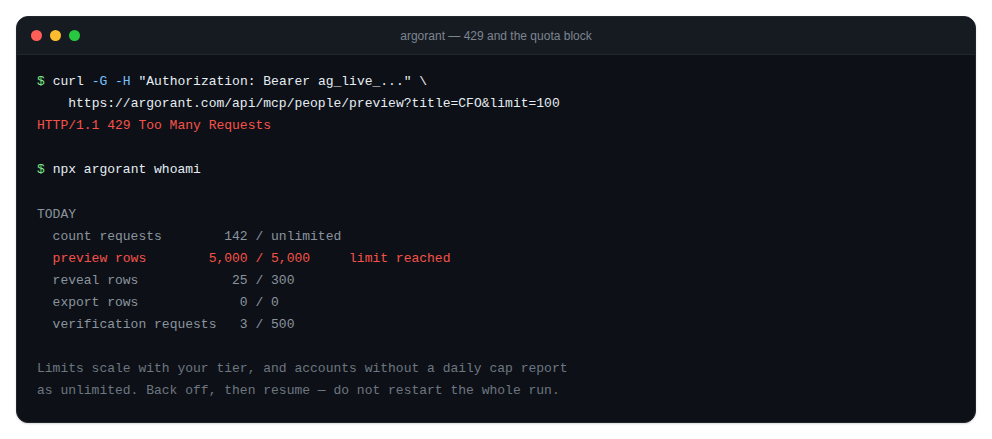 The quota section of whoami showing today's usage against limits