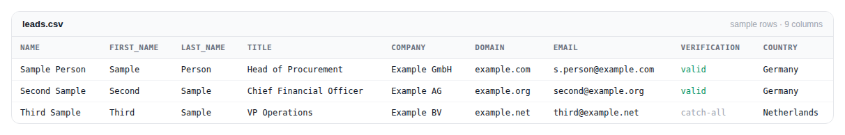 Export CSV opened in a spreadsheet showing the column layout