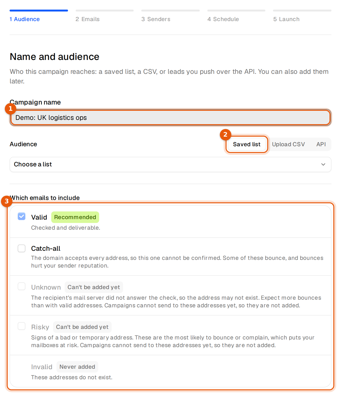 The first wizard step with the campaign name, the audience switch and the email types to include
