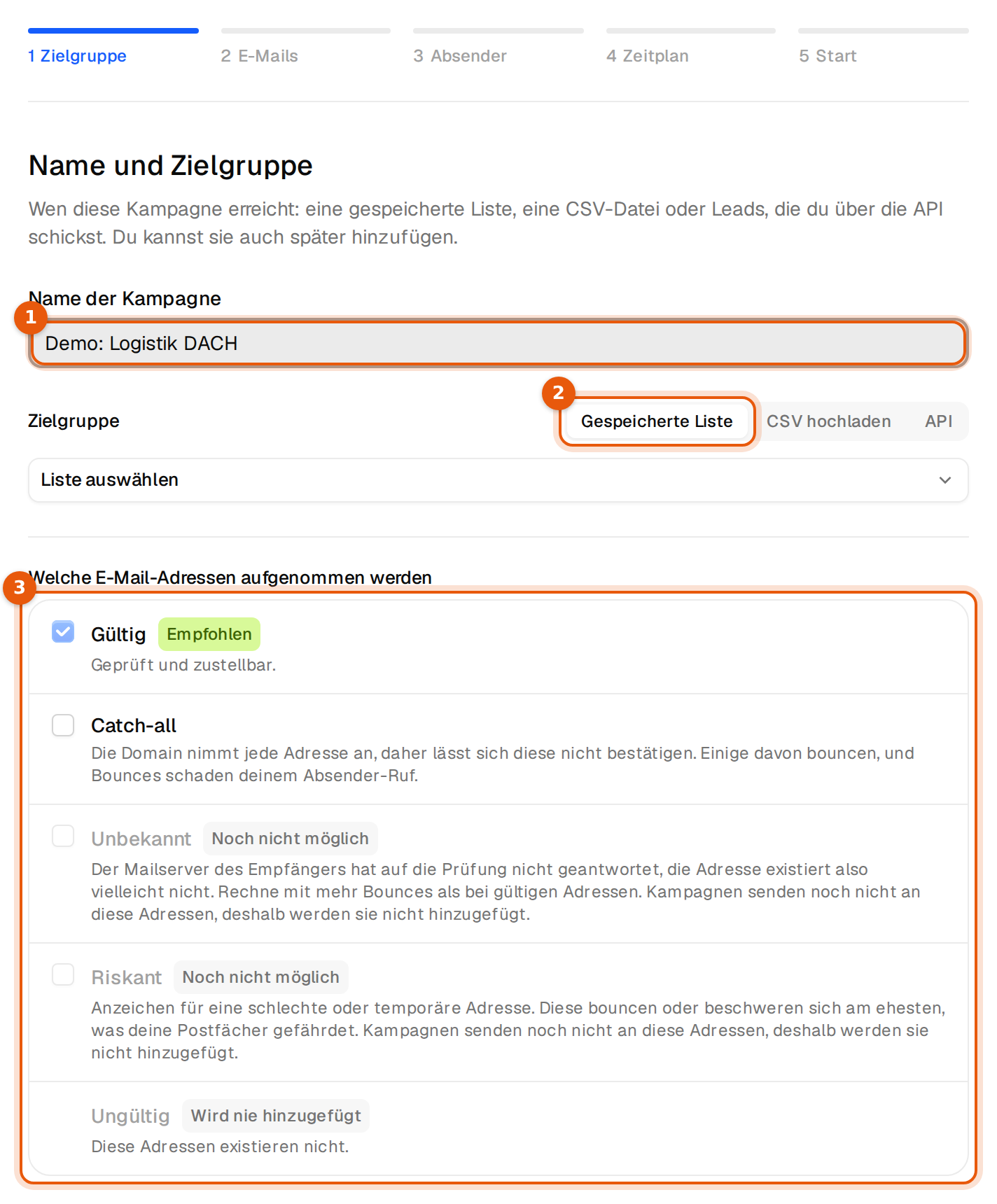 Der erste Schritt im Assistenten mit Name der Kampagne, Auswahl der Zielgruppe und den E-Mail-Typen